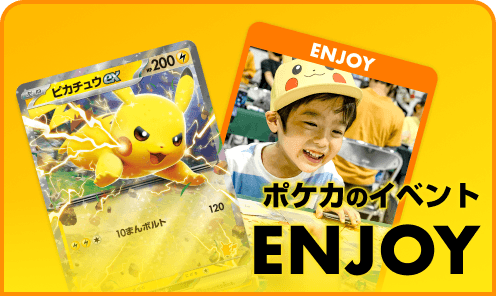 Wild Force (JP) cover